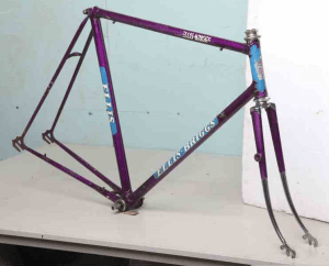 ellis-briggs-International-purple