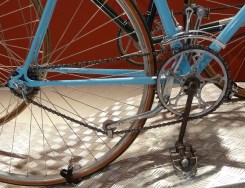 VittoriaShiftBianchi